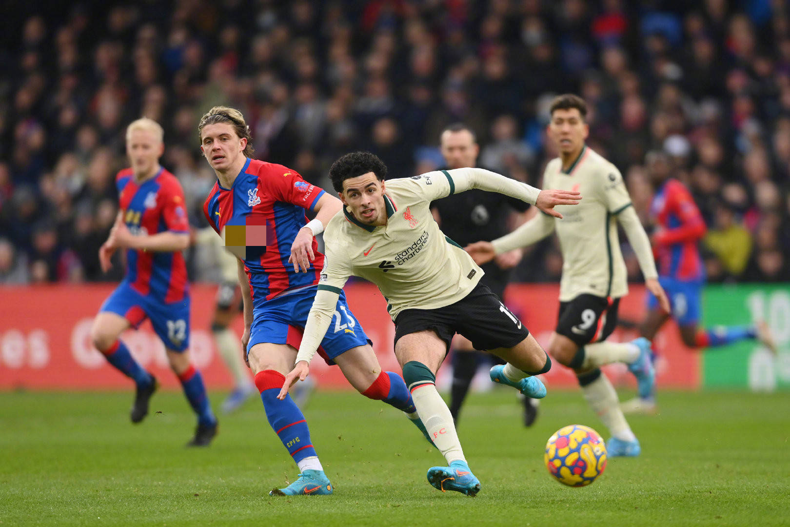 功团队的经 功团队的经